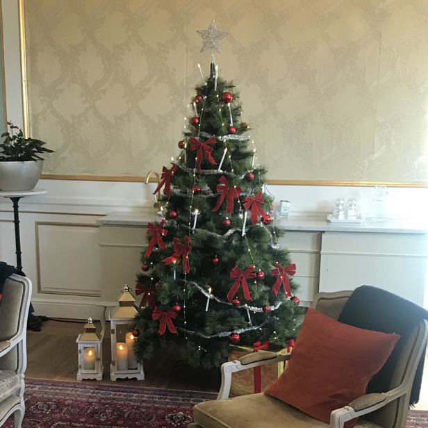 Julgran och dekor PL Helena